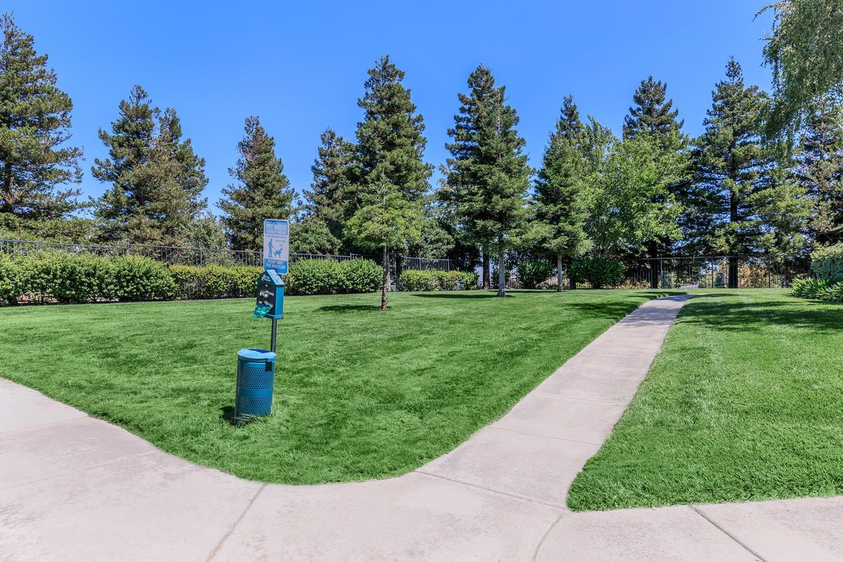 a green fire hydrant sitting in the grass