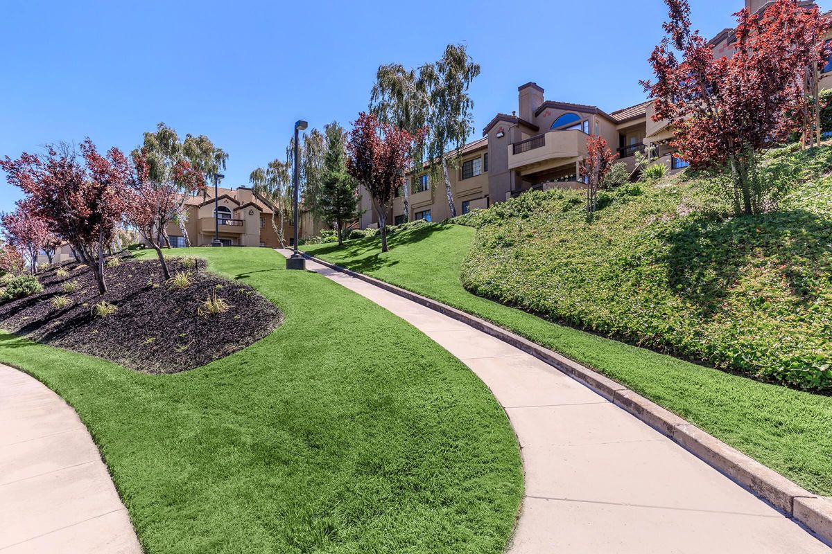 a path in a garden