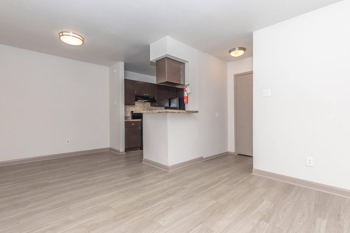 A modern, unfurnished apartment interior featuring light-colored walls, wood laminate flooring, and a small kitchen area with dark cabinetry. A fire extinguisher is mounted on the wall near the kitchen entrance, and the space is well-lit with ceiling fixtures.