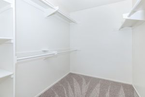 walk-in closet with shelves