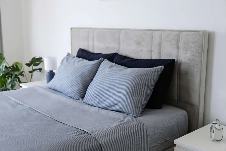 Apartment Features