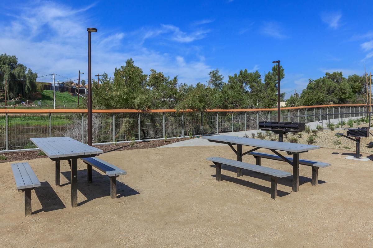 Picnic benches next to barbecue