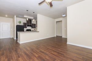 A spacious, modern living area with hardwood-style flooring. The open layout features a kitchen with dark cabinets and a breakfast bar, leading to an empty living space. Natural light illuminates the room, and there are doorways leading to other areas, enhancing the sense of openness.