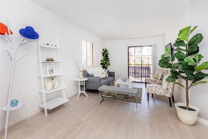 A bright and modern living room featuring a gray sofa, an armchair with floral pattern, a coffee table, and decorative plants. There is a white bookshelf with various decorative items and a coat rack with a blue hat. Natural light enters through the window, creating a welcoming atmosphere.