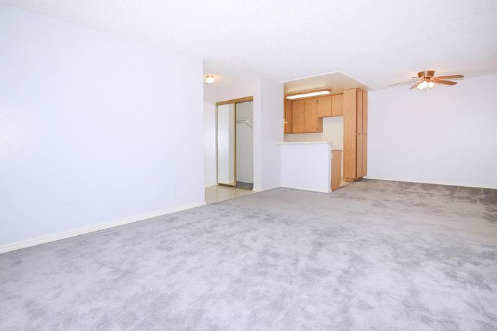 A spacious, empty living area with light gray carpeting and pale blue walls. To the back, there is a small kitchen area with wooden cabinets. A ceiling fan is present, and the layout includes a doorway leading to another room, suggesting a cozy, open-plan design. Natural light illuminates the space.