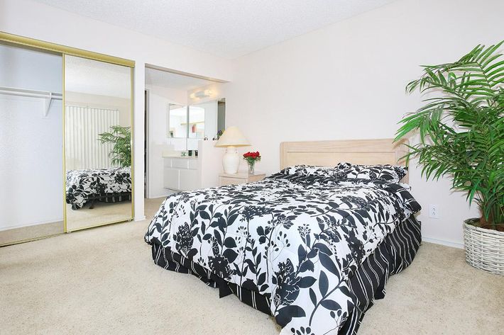 A cozy bedroom featuring a bed with a black and white floral comforter, a large mirror closet, and a bathroom area visible in the background. There's a small potted plant next to the bed, and the room has soft beige walls and carpet, creating a warm and inviting atmosphere.