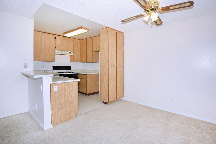 A simple, unfurnished kitchen and living area featuring light wood cabinetry, a gas stove, and a ceiling fan. The room has beige carpet and white walls, with a small dining counter separating the kitchen from the living space.
