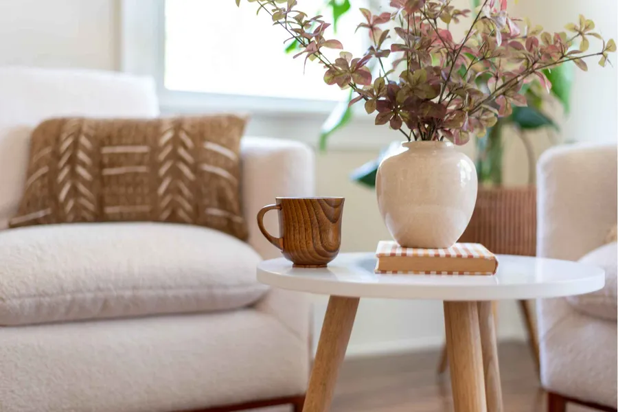 Apartment Features