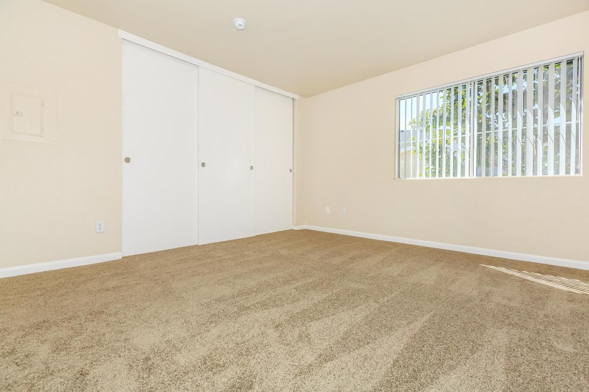 A spacious, empty room with light beige walls, carpeted floor, and a window featuring vertical blinds. There are two closed sliding closet doors on one wall, and the room appears well-lit with natural light. The overall atmosphere is clean and neutral, suitable for various purposes.