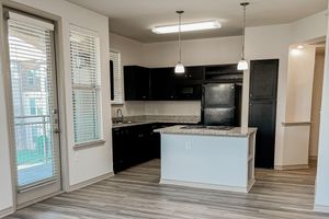 Modern kitchen with black cabinetry, granite countertops, and stainless steel appliances. Features include a window with blinds and tall glass doors leading to an outdoor area. The space has a light-colored wall and wood-like flooring, creating an inviting atmosphere. Bright overhead lighting illuminates the area.