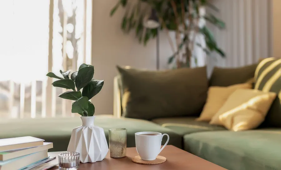 Apartment Features