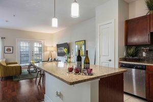 a kitchen with a sink and a counter in a bar