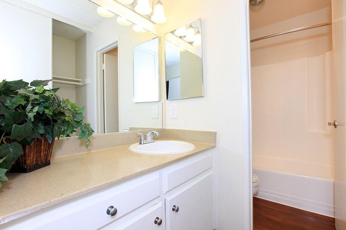 A brightly lit bathroom featuring a sink with a countertop, a large mirror above it, and a potted plant. There are white cabinets below the sink. To the right, there is a tub and shower area with a sliding door, and a separate toilet area visible in the background. The walls are painted a light color.