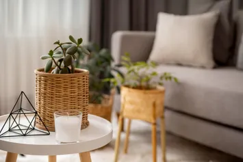 Apartment Features cover photo