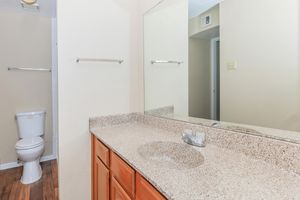 A clean and modern bathroom featuring a large mirror above a granite countertop with a sink, wooden cabinets below, and a white toilet visible in the background. The walls are painted in a neutral color, and there's a glimpse of a hallway leading to another room.