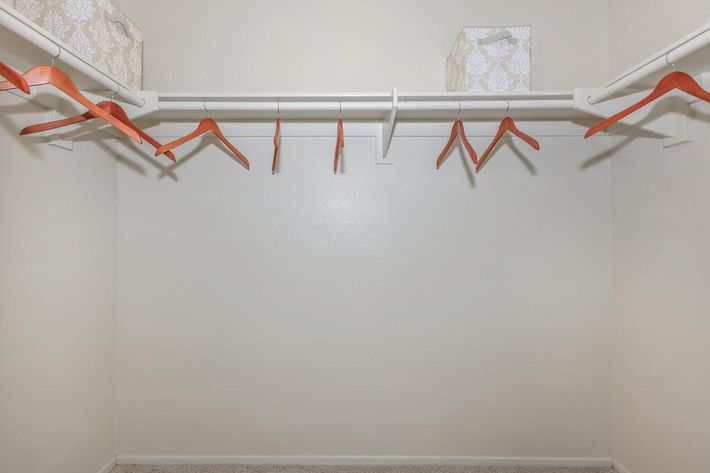 An empty closet with a white wall and a white shelf holding two decorative storage boxes. Several orange wooden hangers are hanging from the shelf, and the floor is carpeted. The overall look is clean and minimalistic, emphasizing the uncluttered space.