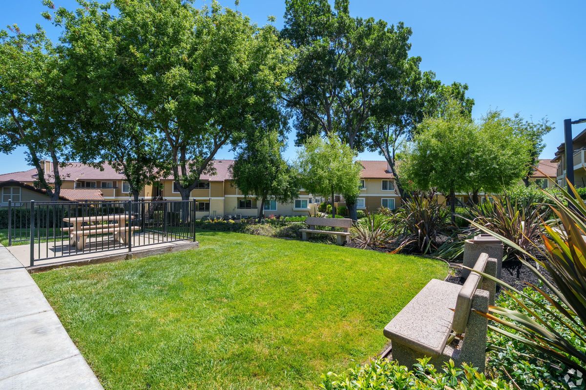A sunny park scene featuring a well-maintained grassy area surrounded by trees and shrubs. Two stone benches are placed on a concrete path, offering a place to sit. In the background, residential buildings are partially visible, creating a peaceful, inviting atmosphere.