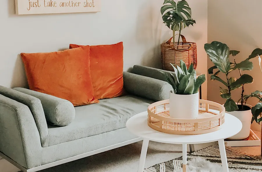 Apartment Features
