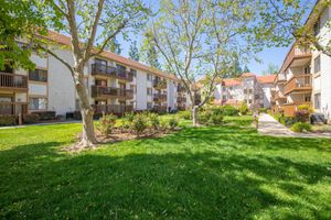 community buildings with green grass