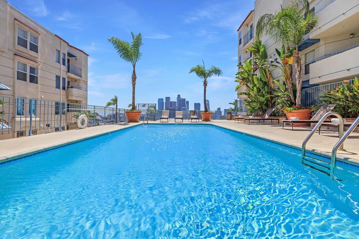 A bright, sunny swimming pool surrounded by tropical plants and palm trees, with modern apartment buildings on one side. In the distance, the skyline of a city can be seen against a clear blue sky, creating a relaxing and inviting atmosphere.
