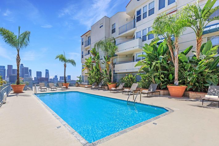 A serene outdoor swimming pool surrounded by lush palm trees and tropical plants, with lounge chairs placed around the pool. In the background, there are modern buildings and a clear blue sky, creating a relaxing urban atmosphere. Ideal for enjoying sunny days.