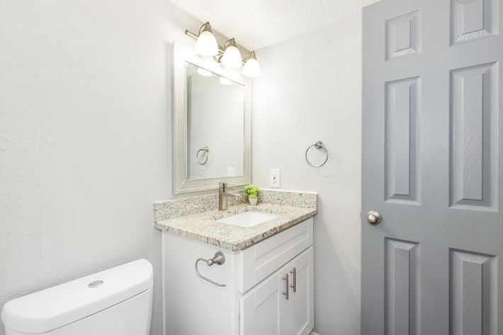 A modern bathroom featuring a granite countertop sink with a mirror above, three sconces providing light, and a small plant for decoration. A white toilet is visible next to the sink, and a closed gray door is in the background. The walls are painted light gray.