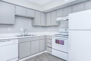 a kitchen with a stove and a refrigerator