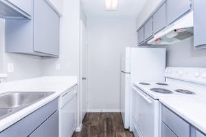 a kitchen with a sink and a refrigerator