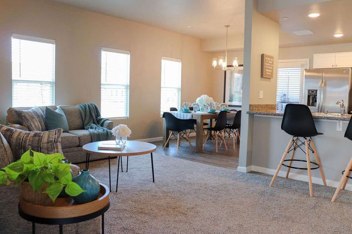 Bright and modern living space featuring a cozy gray sofa, a round coffee table, and a dining area with a dark wood table and stylish chairs. Large windows allow natural light to fill the room. Decorative plants and neutral tones create a welcoming atmosphere. Modern kitchen visible in the background.