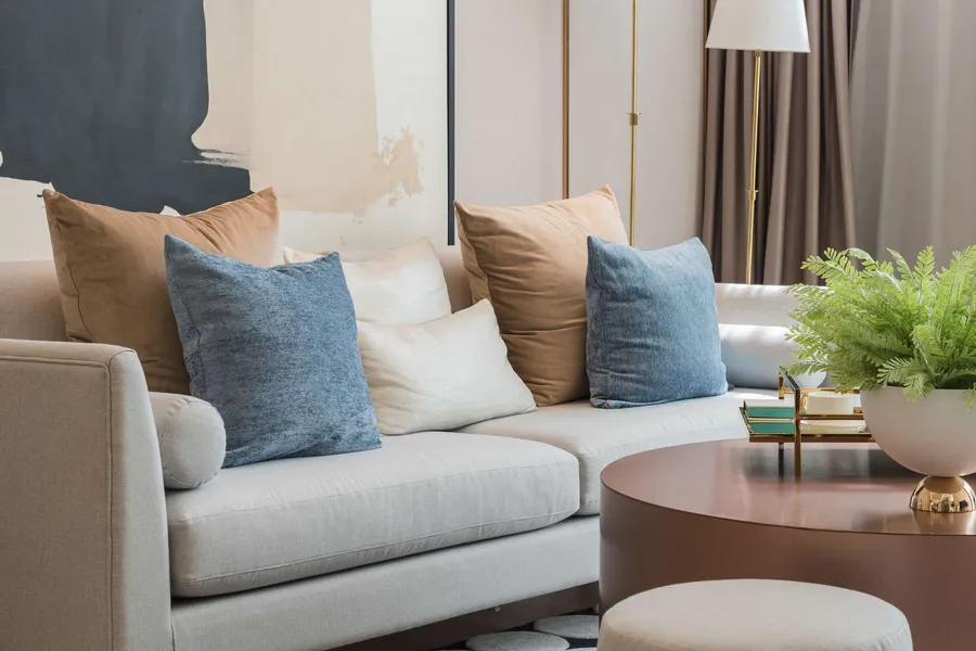 Apartment Features