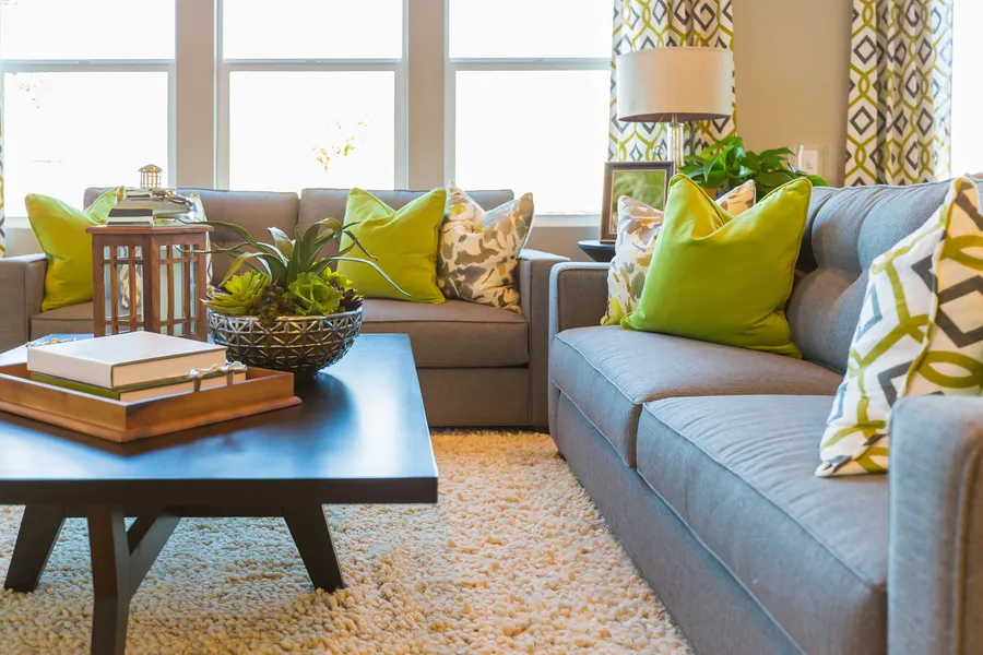 Apartment Features