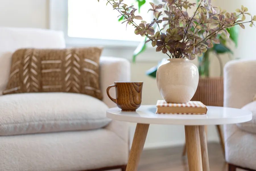 Apartment Features
