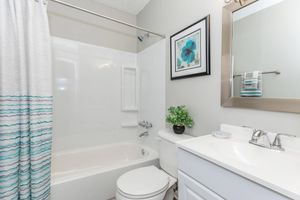 A clean and modern bathroom featuring a bathtub with a glass shower curtain, a white vanity with sink, a mirror, and a small plant. The walls are painted light gray, and there is framed artwork with blue flowers above the toilet. The space is well-lit and neatly organized.