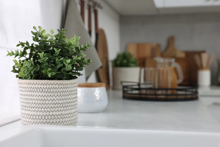 Apartment Features