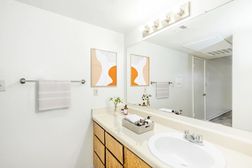 Bathroom vanity at Sand Dollar.