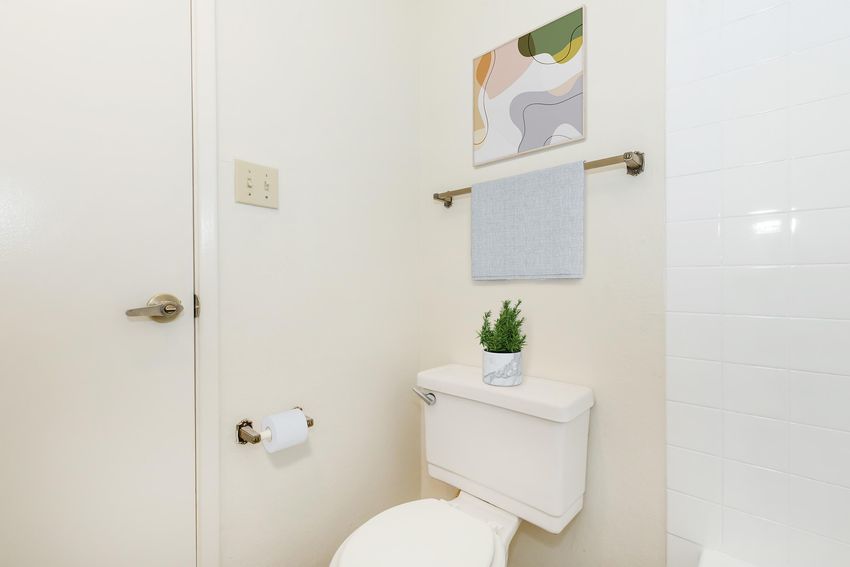 Bathroom at Sand Dollar.