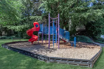 Community Amenities cover photo