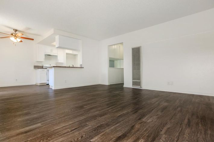 Vacant apartment with wooden floors