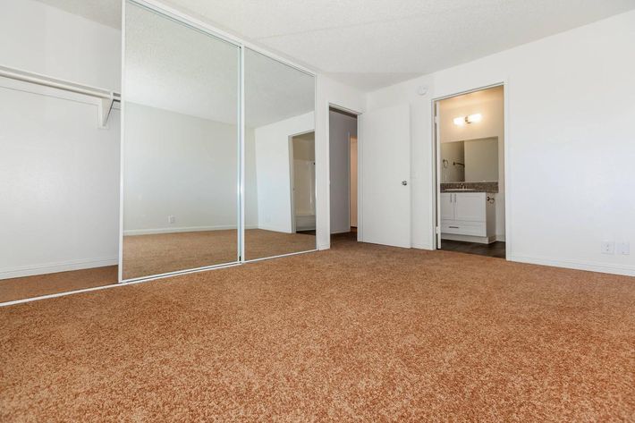 Vacant carpeted bedroom with open sliding mirror closet doors