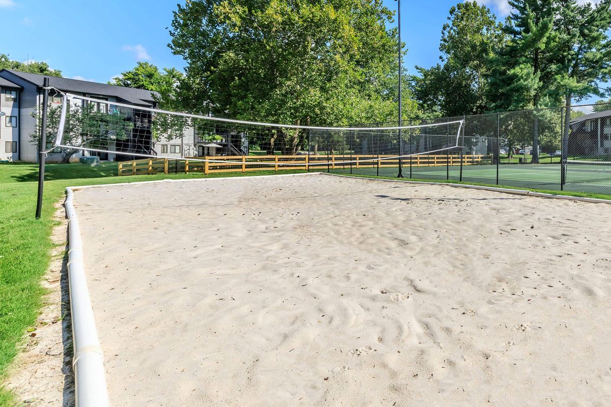 Anyone for Sand Volleyball at Brendon Park Apartments