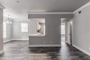 INCREDIBLE OPEN CONCEPT APARTMENTS FOR RENT IN FRIENDSHIP, TX