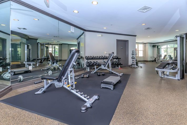 Fitness Center at Emerson at Cherry Lane Apartments in Laurel, MD