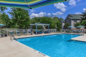 Sparkling Swimming Pool and Lounge Area  + Ashley oaks apartments + San Antonio + Texas
