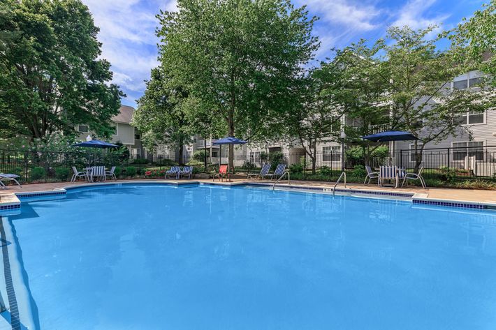Pool at Ashton Green Apartments in Columbia, MD