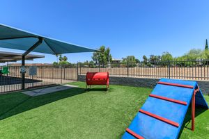 Outdoor fenced in dog park with blue and red play areas and grass