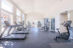 A bright and spacious fitness center featuring various exercise equipment, including treadmills, stationary bikes, and weight machines. Large windows provide ample natural light, and mirrors line the walls, enhancing the open feel of the gym space.