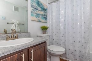 A clean bathroom featuring a sink with a modern faucet, a mirror, and a toilet. The shower area is enclosed with a translucent curtain displaying a geometric pattern. There's a small potted plant on the counter for decoration, and a water-themed painting hangs on the wall. The decor is bright and minimalist.