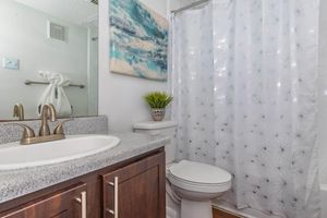 a room with a sink mirror and shower curtain
