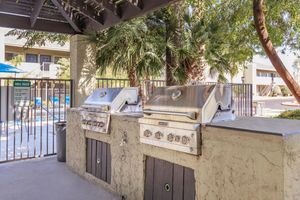 BARBECUE GRILLS