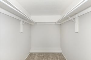 unfurnished walk-in closet with carpet